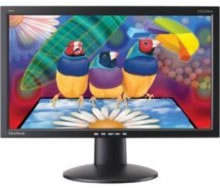 HP 19" LCD Monitor